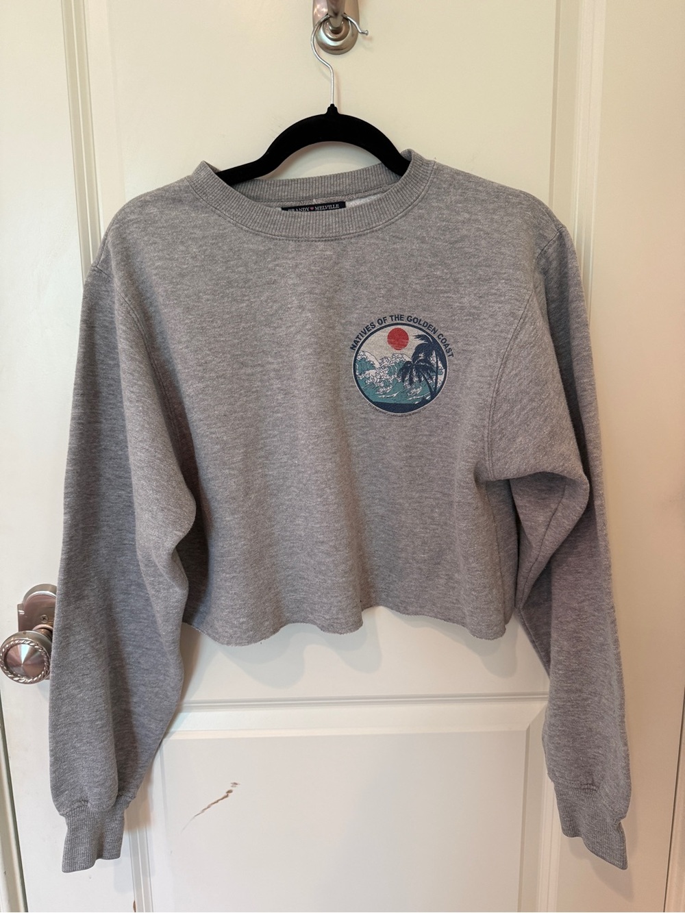 Brandy Melville Cropped Sweatshirt